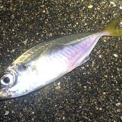 たった10分‼️