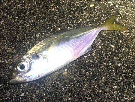 たった10分‼️