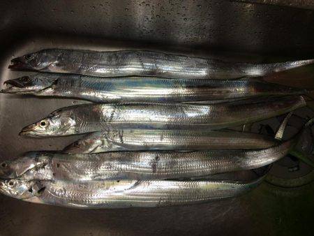 マイポイントで刀狩り