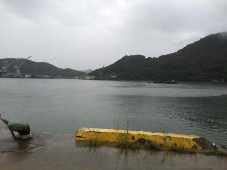 ウルメイワシ、アジ、チヌ