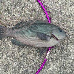 水温さがったのか？