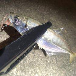 台風の影響は…