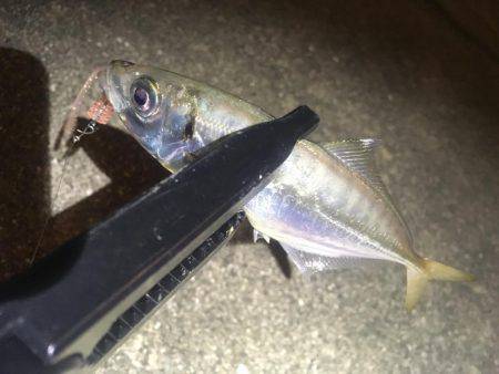 台風の影響は…