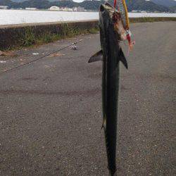 隠れてやがった!