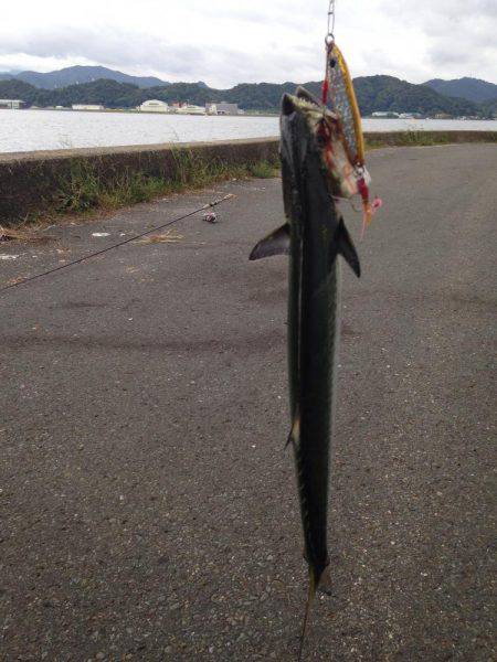 隠れてやがった!