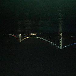 イカ釣り  虎之介