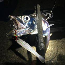 ワインドにて・・・