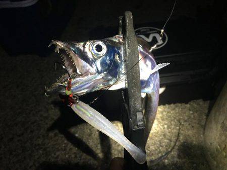 ワインドにて・・・