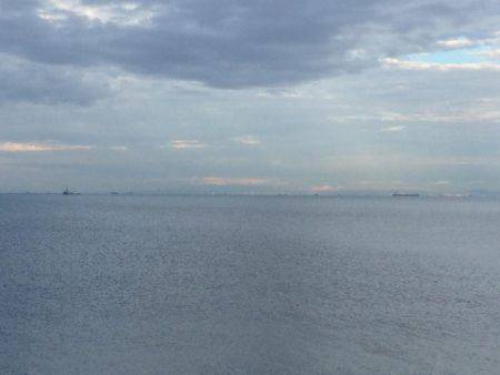 何とかサゴシちゃんゲット