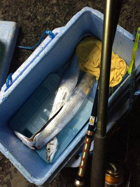 タチウオ夕まずめ勝負