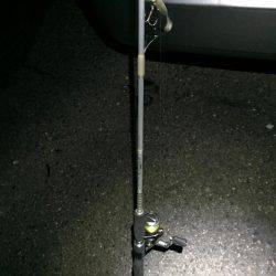 久々のタチウオ釣行！