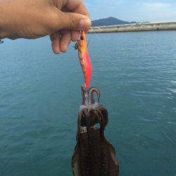 徐々に成長してます。