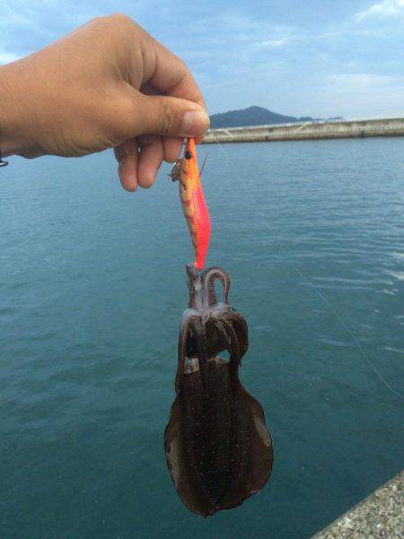 徐々に成長してます。