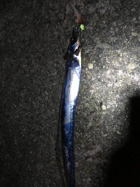 ショアジギング