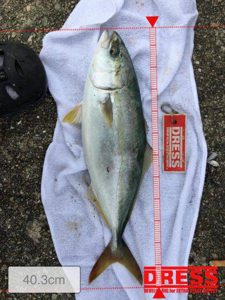 ババゴミ、ゲキ渋^^;