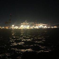 ショートバイトばかり↓