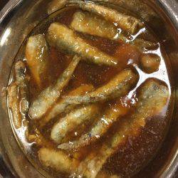 イカは台風でながされた