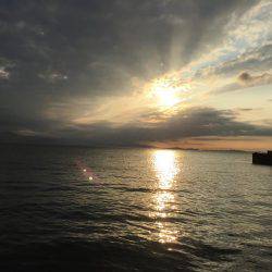 淡路島 アオリイカ釣行