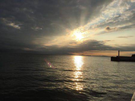 淡路島 アオリイカ釣行