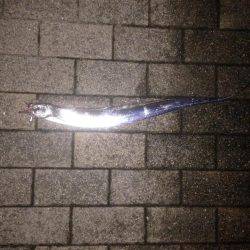 雨やのに、、、