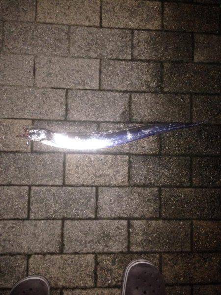 雨やのに、、、