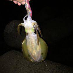 重量感！ん？引かへん！やっぱり・・・