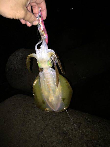 重量感！ん？引かへん！やっぱり・・・