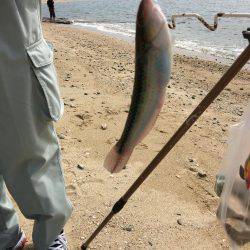 親父とサーフベラ