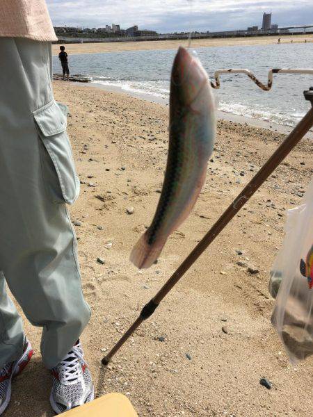 親父とサーフベラ