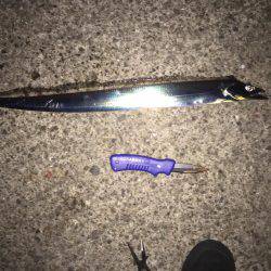 コンビーナート 太刀魚