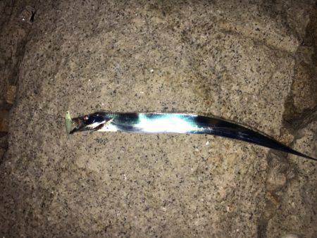 友人デビュー戦！