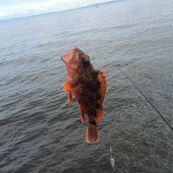 二兎を追うも追いきれず。