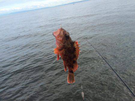 二兎を追うも追いきれず。