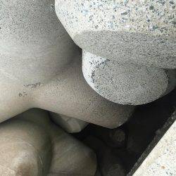 初投稿-9月23日の釣果