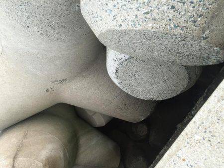 初投稿-9月23日の釣果