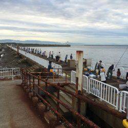 偶には海釣り公園で朝練