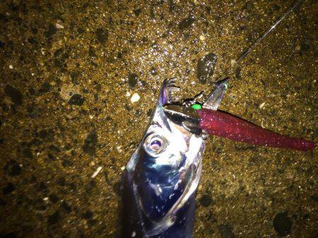 アチョングのちタッちゃん