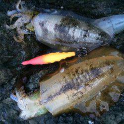 激ウネリエギング