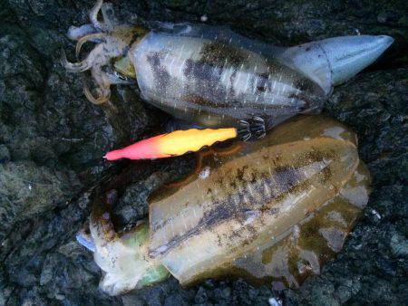 激ウネリエギング