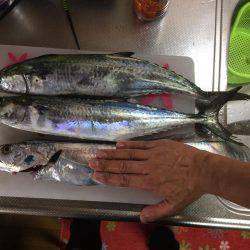 マイポイントで朝練