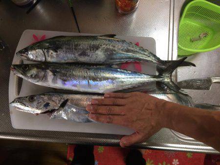 マイポイントで朝練