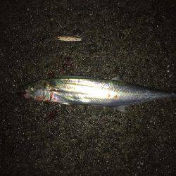 ひさしぶりの遠征