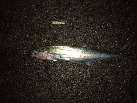 ひさしぶりの遠征