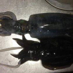 小雨からの大雨