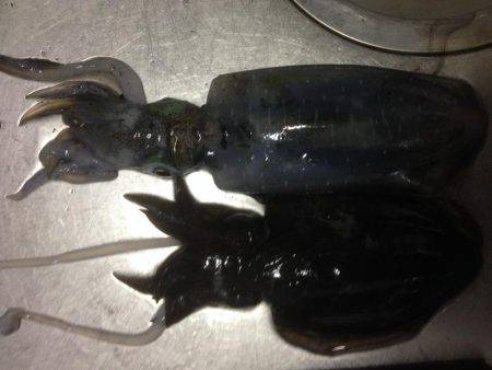 小雨からの大雨