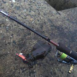 雨でも釣れました❗️