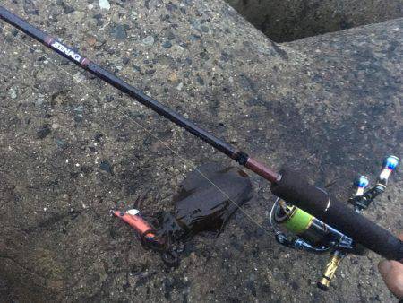 雨でも釣れました❗️