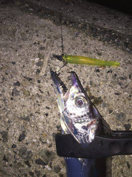 水潮にもマケズ