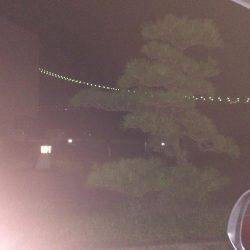 ケンサキ40セン級を求めて