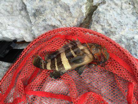 朝まずめと夕まずめ